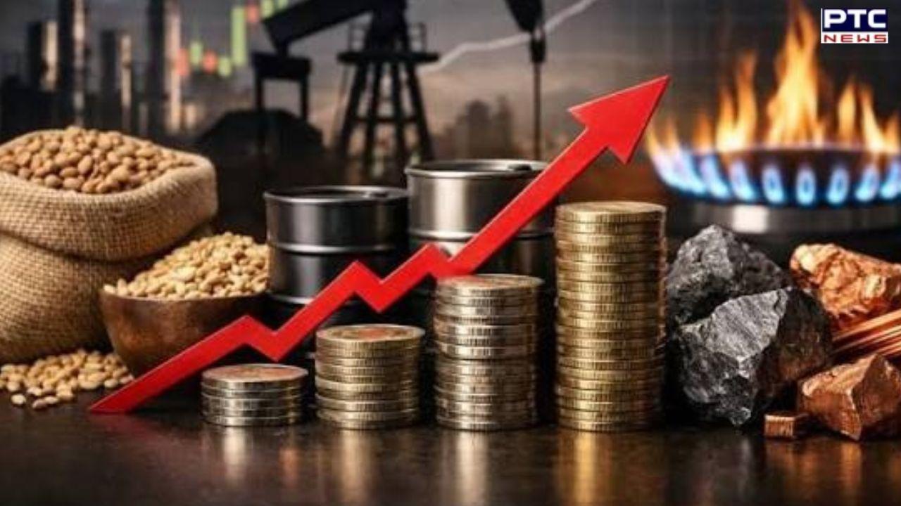 Wholesale inflation rises : ਸਤੰਬਰ ਵਿੱਚ ਥੋਕ ਮਹਿੰਗਾਈ ਦਰ 11.39% ਤੱਕ ਵਧੀ