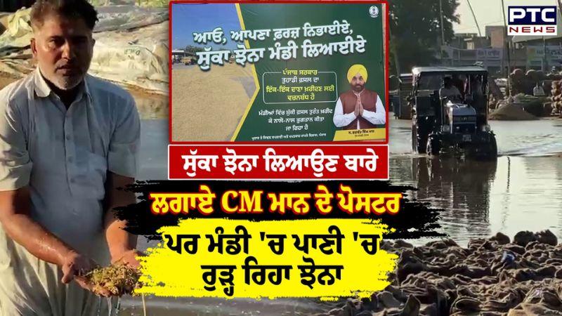 ਸੁੱਕਾ ਝੋਨਾ ਲਿਆਉਣ ਬਾਰੇ ਲਗਾਏ CM Mann ਦੇ ਪੋਸਟਰ, ਪਰ ਮੰਡੀ 'ਚ ਪਾਣੀ 'ਚ ਰੁੜ੍ਹ ਰਿਹਾ ਝੋਨਾ